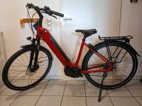 E-Bike Tiefeinsteiger Damen Baden-Württemberg - Gutach Vorschau