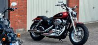 Harley Davidson Sportster XL 1200 C Kreis Ostholstein - Bad Schwartau Vorschau