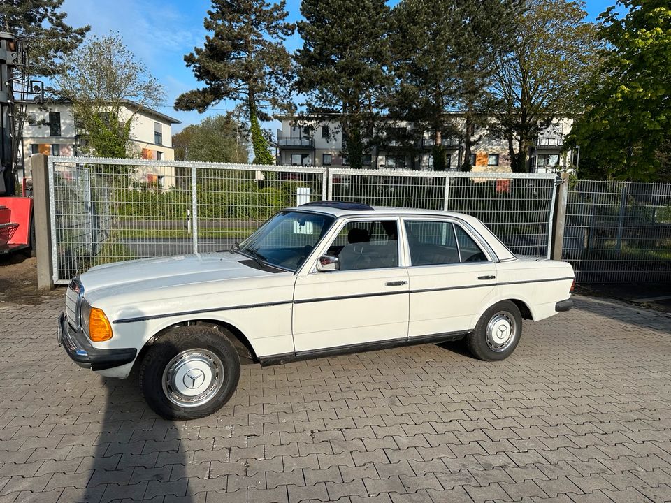 Mercedes Benz MB 123 Typ 230E H Kennzeichen Oldtimer Youngtimer in Dortmund