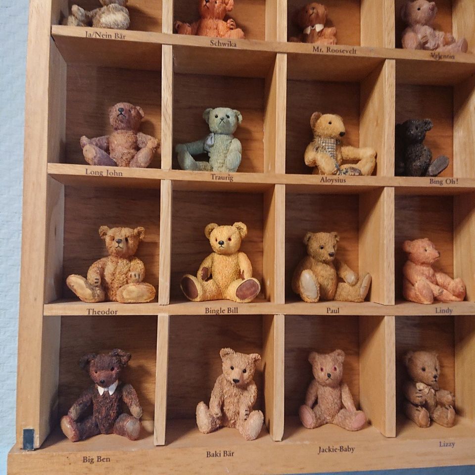 Setzkasten mit den berühmtesten Teddybären der Welt. in Roxheim