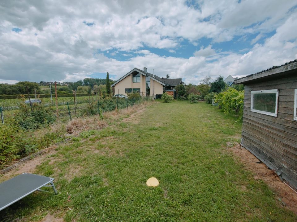 Schöne 4 Zimmer Wohnung möbliert mit Terrasse Balkon und Garten. in Bornheim