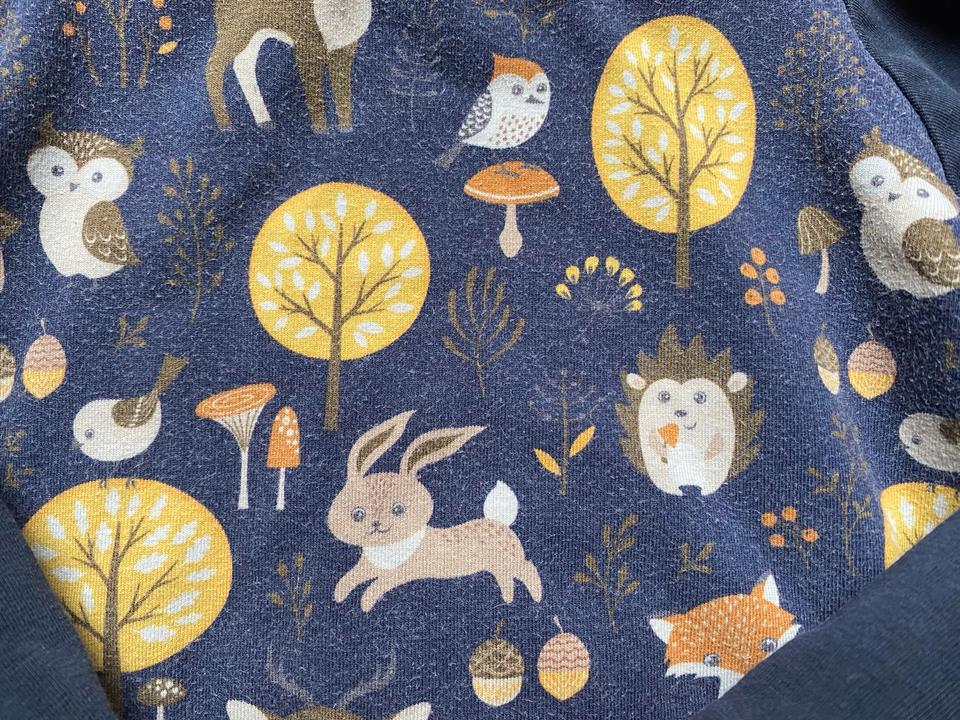 Kiwi und Fuchs Pullover Kapuze blau 86 92 98 Wildtiere Koala in Bad Blankenburg
