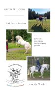 Reitbeteiligung auf Antiallergischem Pferdchen Bayern - Weitnau Vorschau