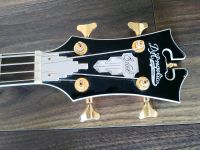 D'angelico Excel Mott Bass, Akustik Bass Nordrhein-Westfalen - Lippstadt Vorschau