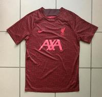FC LIVERPOOL TRIKOT MATCHWORN 2022/2023 ROT GRÖßE M NIKE Hessen - Hochheim am Main Vorschau