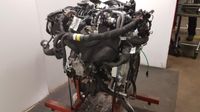 Jaguar  2.0 Diesel Engine Code Aj21d/204dty 150kw 201 PS Bj2021 Hannover - Nord Vorschau