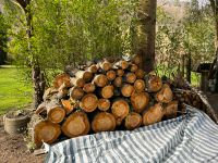 Kirschbaum Holz gestückelt ca. 2 x 10m Baden-Württemberg - Pforzheim Vorschau