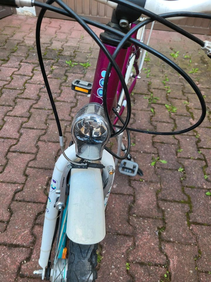 Fahrrad Mädchenfahrrad Boomer violett dunkel 26 Zoll junior Dream in München