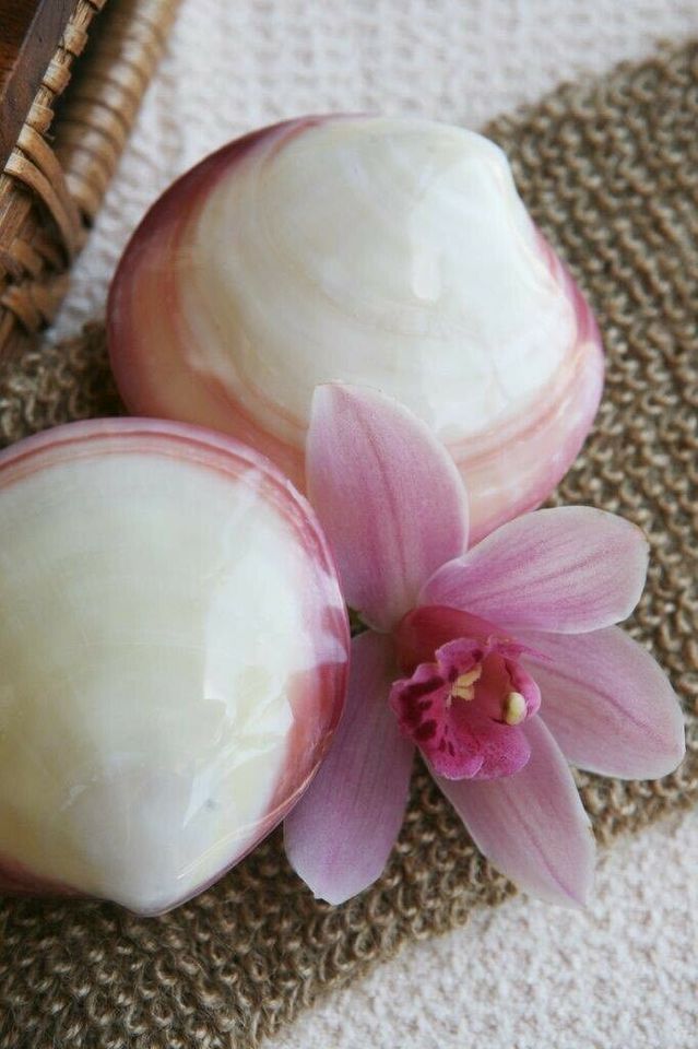 Einzel-Ausbildung in Muschelmassage mit Lava Shells in Wesseling