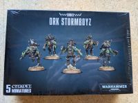 Warhammer 40k Ork Stormboyz Hessen - Malsfeld Vorschau