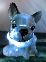 Handmade französische Bulldogge Hund als Lampe aus Harz Thüringen - Ponitz Vorschau