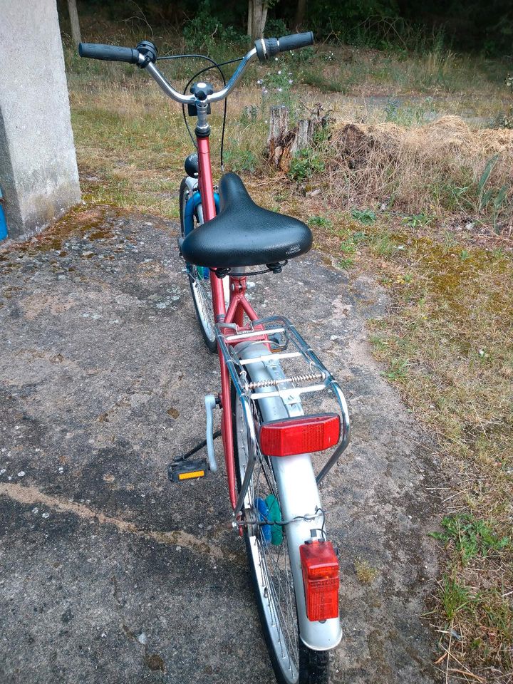 Damenfahrrad in Wendisch Rietz