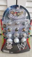 WWE SQUINKIES SLAUGHTER GOLDUST CM PUNK UNDERTAKER OVP Thüringen - Erfurt Vorschau