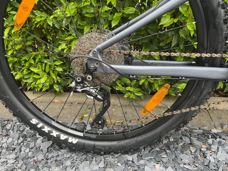 Hardtail, wenig gefahren, Giant/Liv Tempt 1 in Konz