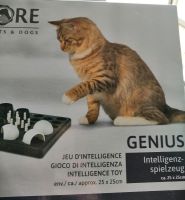 Katzen Intelligenz Spielzeug von More Nordrhein-Westfalen - Bottrop Vorschau