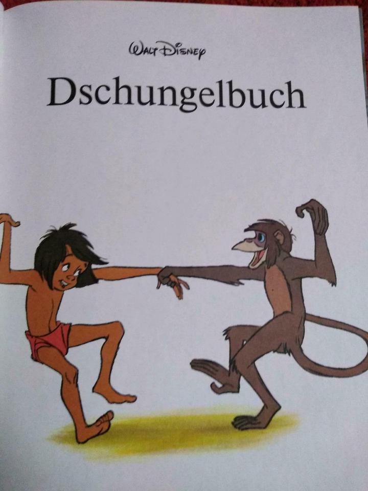 Disney der König der Löwen, Dschungelbuch, Schneider Sammelband in Weißenburg in Bayern