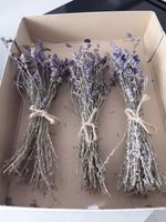 ♡ TROCKENBLUMEN  LAVENDEL DEKO TROCKENKRANZ AB 1 EURO ♡ Nordrhein-Westfalen - Rheda-Wiedenbrück Vorschau