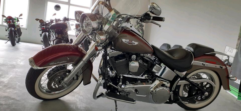 Harley Davidson "Deluxe" FLSTN in Warburg