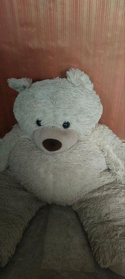 XXL Teddy sitzend 82 cm, 62 cm breit in Duisburg