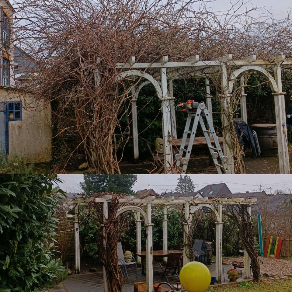 Gartenarbeiten alle Arten Termine frei in Dillingen (Saar)