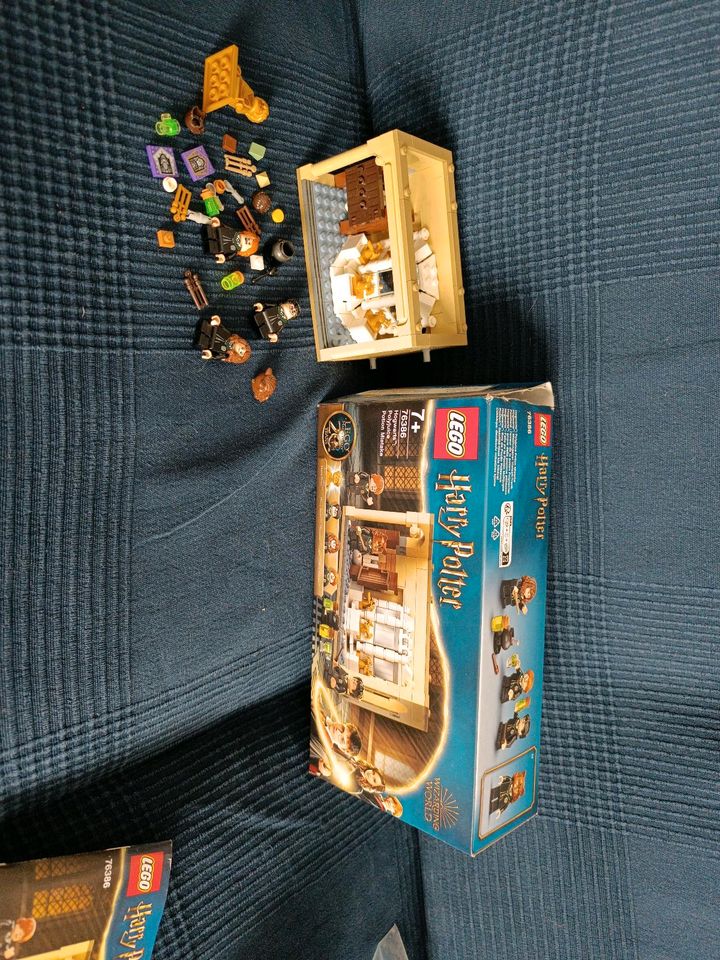 Lego Harry Potter 76386 Vielsaft Trank mit goldener Figur in Schwerte
