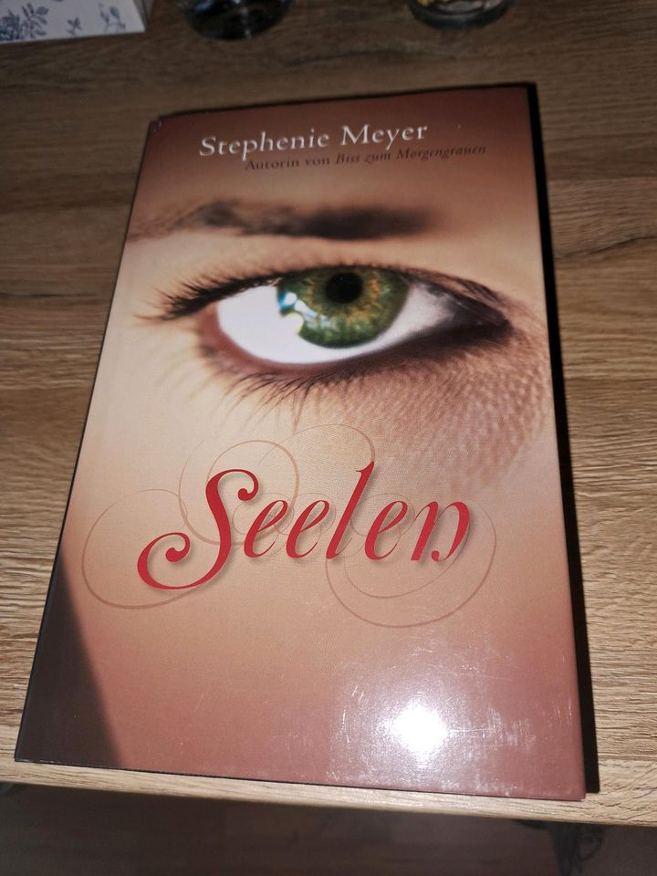 Seelen Stephenie Meyer Buch *NEU* in Großefehn