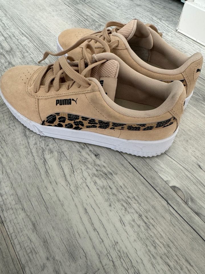 Puma Sneaker Neu in Hallerndorf