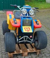 Quad Bike Kiddy Ride Kiddie Ride Schaukelgerät Münzeinwurf Hessen - Hungen Vorschau