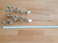 2x Klettenzweig Kletten Zweig Gold Glitzer Trockenblumen Nordrhein-Westfalen - Ratingen Vorschau