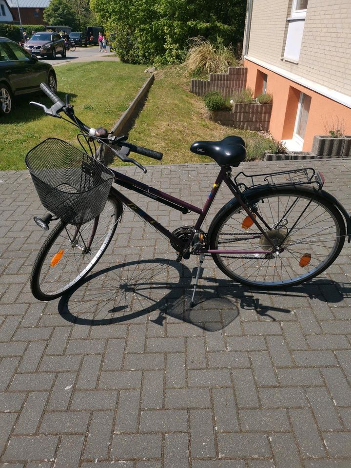 Damenfahrrad 28 Zoll in Hillerse