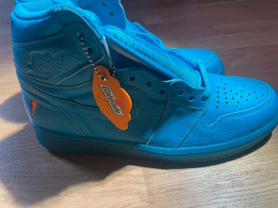 Nike Air Jordan 1 in Sonneberg