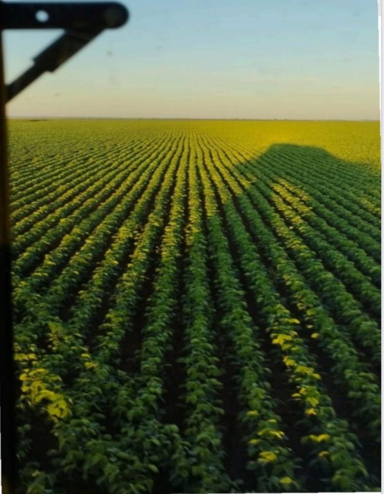 10.000 ha Grundstück mit 2 Häuser und vieles mehr in Caaguazu in Zossen-Zesch am See