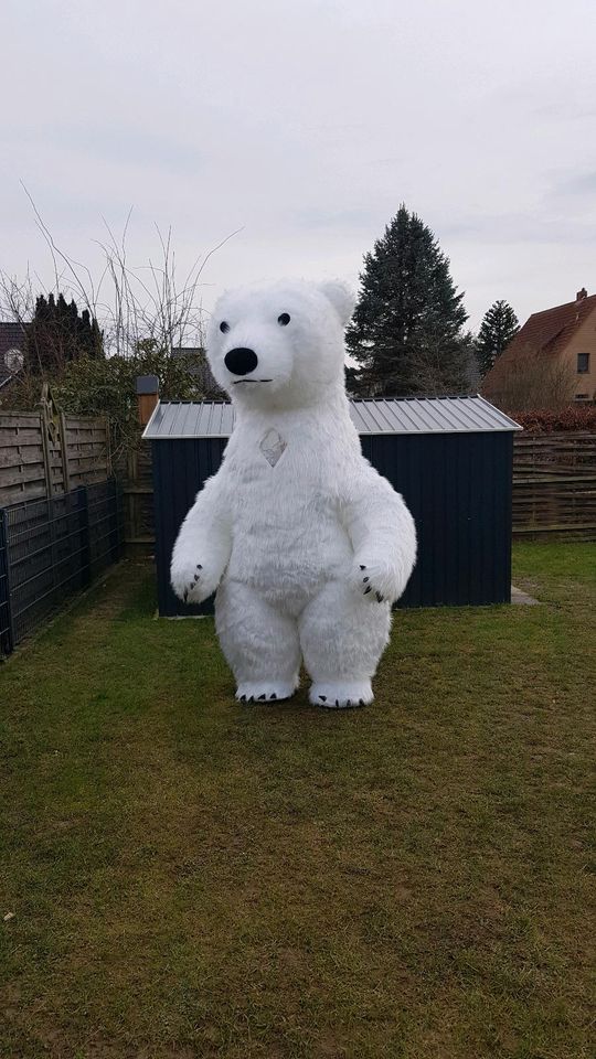 Aufblasbares Kostüm Eisbär  Affe Party, Geburtstag. Mieten/Leihen in Bielefeld
