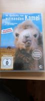 Die Geschichte vom weinenden Kamel DVD Bayern - Siegsdorf Vorschau