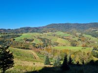 Familie sucht Bauernhof zur Übernahme oder Pacht Baden-Württemberg - Gengenbach Vorschau