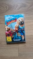 Disney Super Buddies DVD Bayern - Bayreuth Vorschau