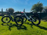 Himiway Zebra und Step Thru E-Bike 2x Schleswig-Holstein - Lehmkuhlen Vorschau