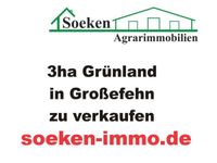 Grünland in Großefehn-Akelsbarg zu verkaufen. HF2401 Niedersachsen - Großefehn Vorschau