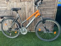 Fahrrad McKenzie 26“ für Damen Rheinland-Pfalz - Waldsee Vorschau