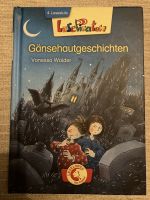 Lesepiraten - Gänsehautgeschichten - 4. Lesestufe Nordrhein-Westfalen - Werne Vorschau