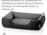 Hundebett XL (Schäferhund, Labrador, ...) Düsseldorf - Derendorf Vorschau