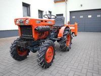 Kubota B6001 Bodenfräse  Kleintraktor  Schmalspurtraktor Sachsen-Anhalt - Zielitz Vorschau