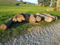 Lindenholz, Stammholz, Schnitzholz Baden-Württemberg - Biberach an der Riß Vorschau