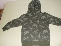 Sweatshirt von H&M Größe 110/116 grün mit Dinos Sachsen-Anhalt - Braunsbedra Vorschau