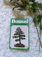 Bonsai Buch Niedersachsen - Braunschweig Vorschau