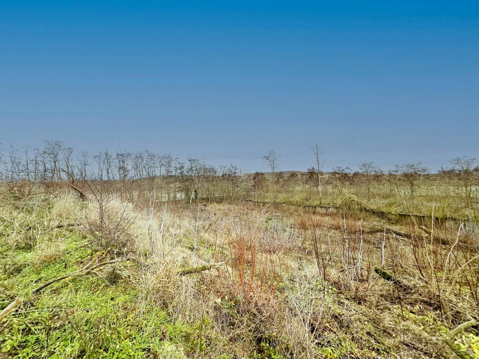 15.000m² bebaubar plus Turm & Bunker! Entdecken Sie unser Grundstück nahe Intel *PROVISIONSFREI in Schönebeck (Elbe)