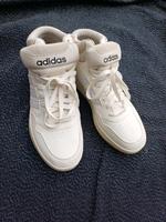 addidas Sport Schuhe  gr. 41 1/2 Hessen - Solms Vorschau