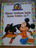 Disney Mickey fragt warum / 13 Fragen und Antworten Schleswig-Holstein - Norderstedt Vorschau