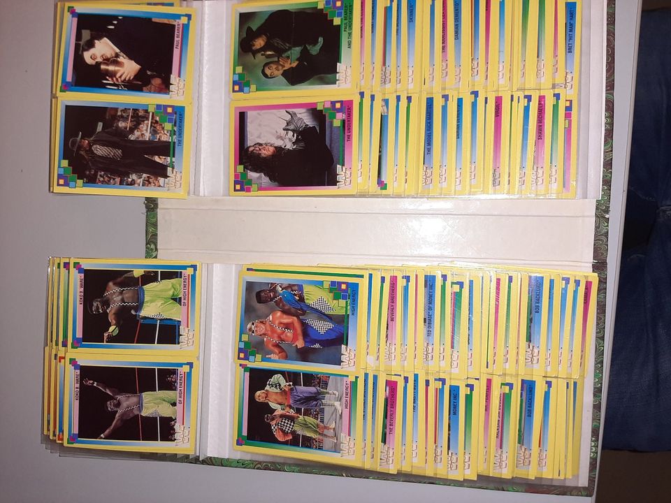 WWF Trading Cards, Merlin 1993, Sammelkarten, 190 Stück in Ellgau