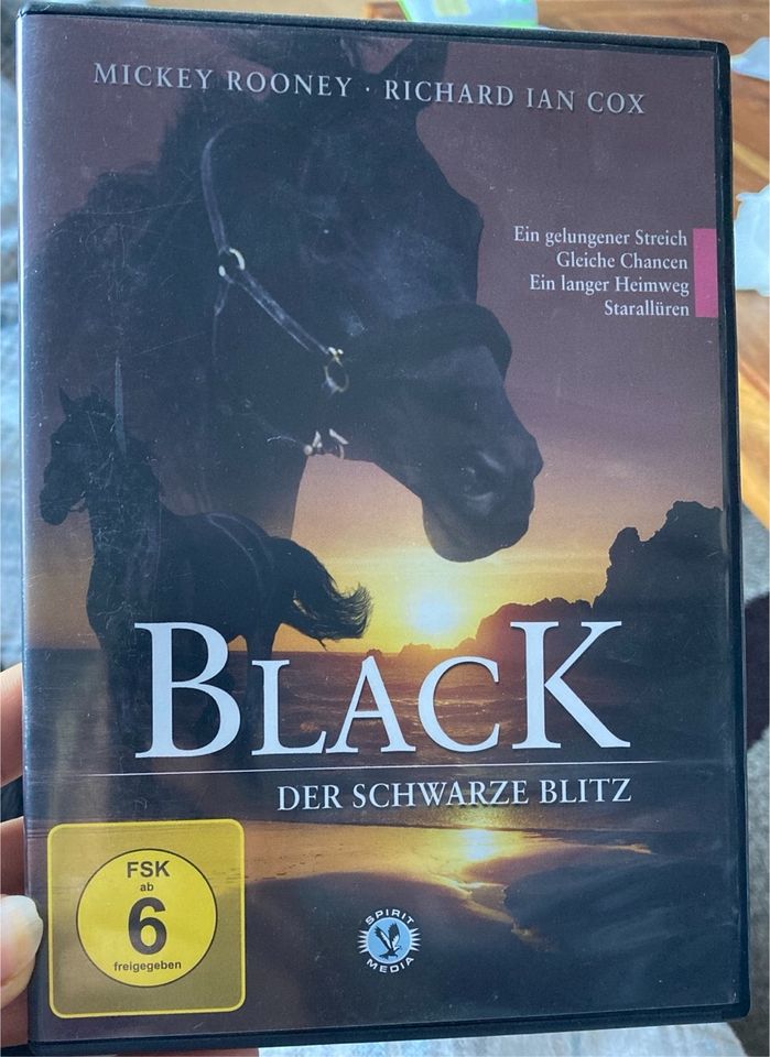 DVD Black der schwarze Blitz, Serie, Staffel 1, 2. DVD 4 Folgen in Oldenburg